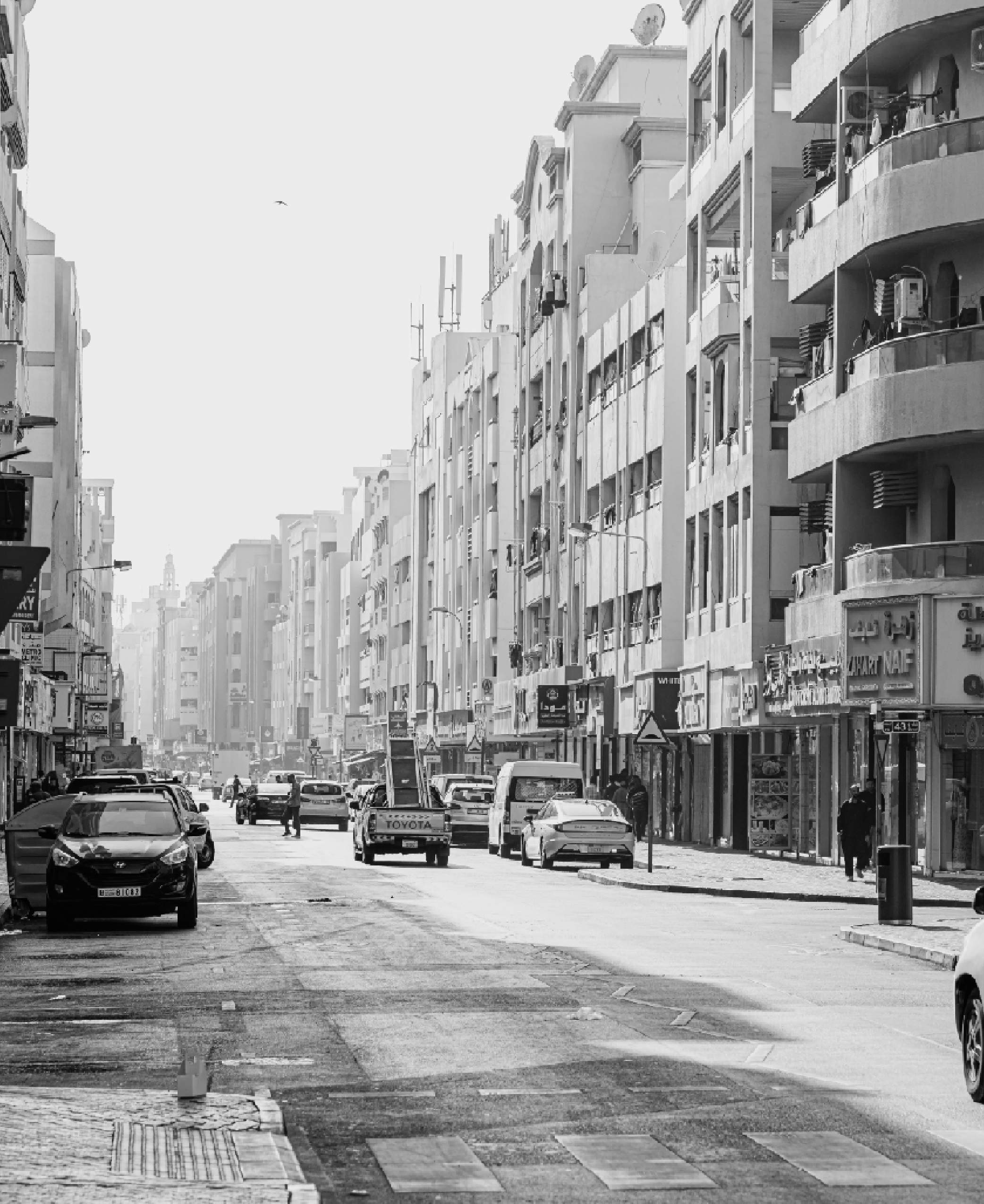 فريج المرر